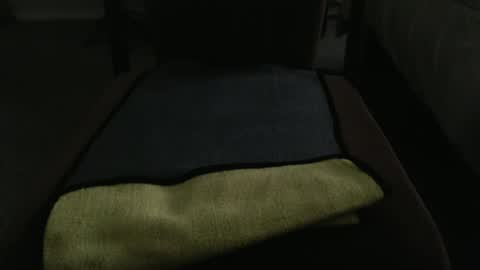 Snapshot of marky1954 chatting on 05-17-26, 12:19 markedman online show from 05-17-26, 12:19