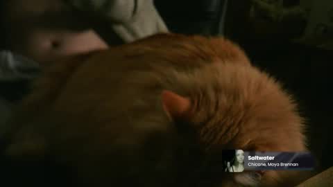 marnieccc online show from 02-21-26, 04:35