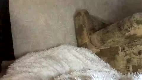 Marta online show from 11-27-25, 07:54