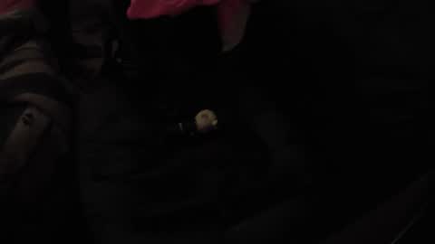 Snapshot of martamoontrans chatting on 11-17-25, 10:32 martamoontrans online show from 11-17-25, 10:32