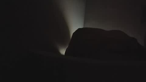 martamoontrans online show from 02-03-26, 06:40