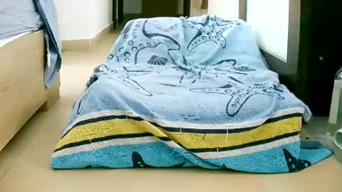 Snapshot of martinas_fantasies chatting on 10-12-25, 10:58 Play with me I obey I promise online show from 10-12-25, 10:58