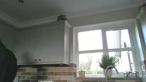 Snapshot of martinrgbxxxx chatting on 12-15-24, 09:56 martinrgbxxxx online show from 12-15-24, 09:56