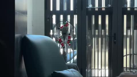 Telegram - FlyingDutchmana online show from 03-27-26, 05:24