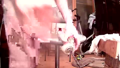 maschpro online show from 10-24-25, 05:09