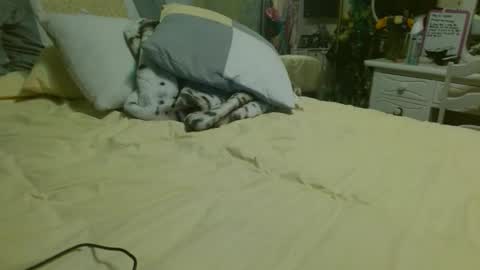 Snapshot of mathislauraashley2023 chatting on 05-31-26, 11:50 mathislauraashley2023 online show from 05-31-26, 11:50