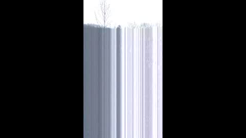 matzs3rvices online show from 12-22-25, 06:38