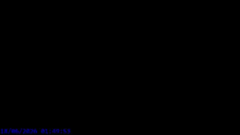 Maxel F online show from 06-17-26, 11:49