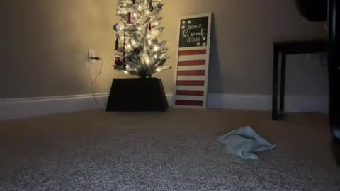 maxx276828 online show from 11-22-25, 04:44