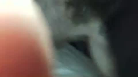 maxxou69hot online show from 05-03-26, 09:59
