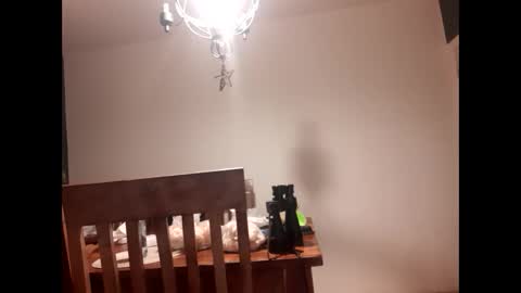 Snapshot of mccock16cm chatting on 02-16-25, 03:47 mccock16cm online show from 02-16-25, 03:47