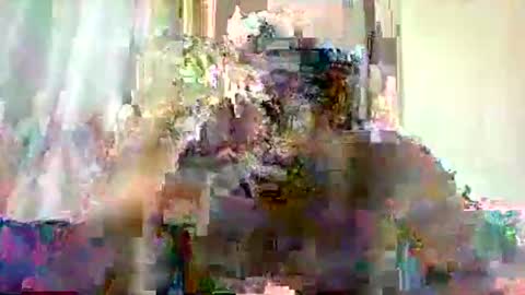 mclntz_bbc online show from 05-13-26, 12:24