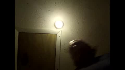 Snapshot of meaderd740870 chatting on 02-14-26, 03:25 meaderd740870 online show from 02-14-26, 03:25