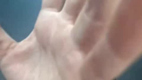 Snapshot of megan_coop3r_ chatting on 03-05-26, 02:07 Megan and sophi online show from 03-05-26, 02:07