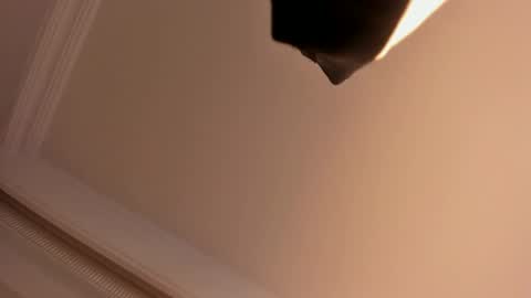     online show from 02-01-25, 05:58