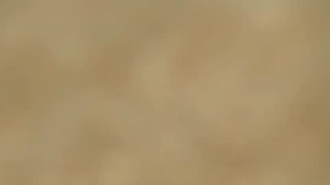 Melania online show from 01-15-25, 02:46