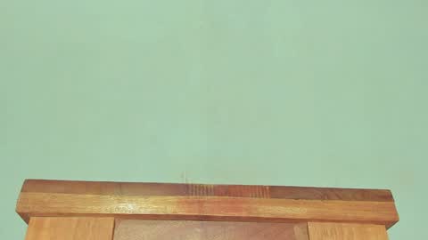 Melania online show from 01-30-25, 03:29