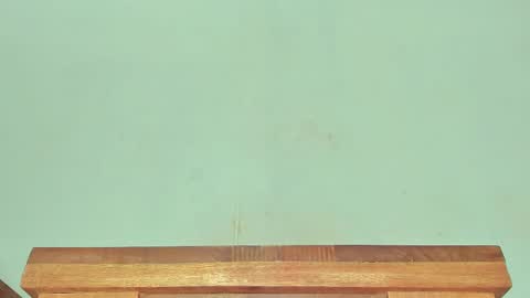 Melania online show from 03-01-25, 06:24