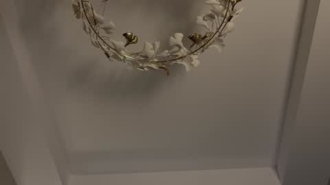 Adel online show from 01-11-25, 07:16