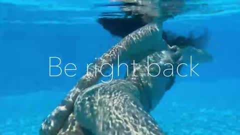 Adel online show from 11-03-25, 09:48