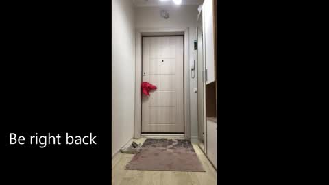 Melina online show from 02-25-26, 09:08