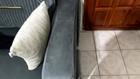 Chucky1200 online show from 02-27-26, 08:42