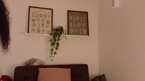  Memphis Williams  online show from 02-19-26, 02:40