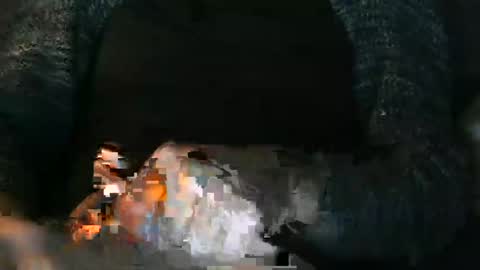 Mens En Schuw Human and Shy online show from 01-01-25, 03:03