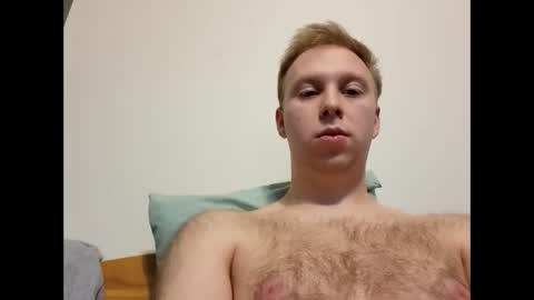 meow732 online show from 11-01-25, 07:05