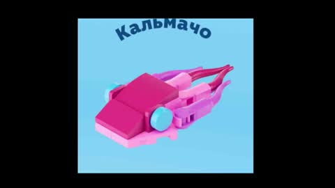 meowcr online show from 12-16-25, 11:54