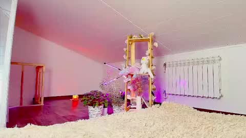 meowroslava online show from 11-14-25, 09:30