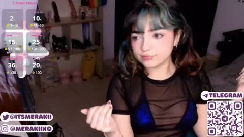 Snapshot of meraki_fraise chatting on 07-22-26, 09:28 online show from 07-22-26, 09:28