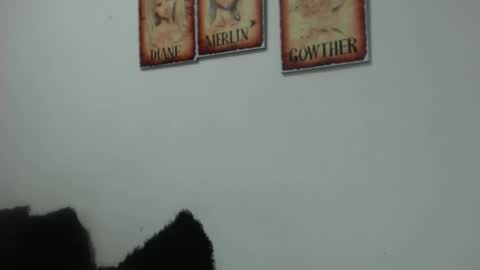 merlina_t online show from 05-22-26, 06:57