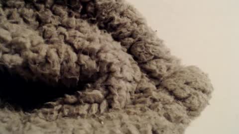 Snapshot of mesmerize88 chatting on 02-01-25, 05:37 Mauro online show from 02-01-25, 05:37