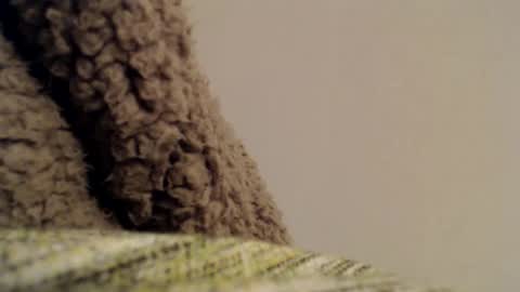 Snapshot of mesmerize88 chatting on 02-06-25, 11:37 Mauro online show from 02-06-25, 11:37