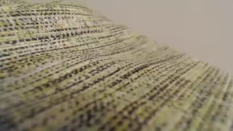 Snapshot of mesmerize88 chatting on 02-11-25, 08:52 Mauro online show from 02-11-25, 08:52