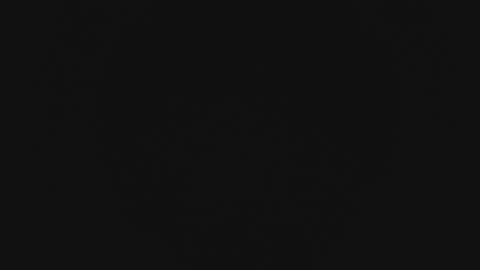 Wade online show from 02-13-26, 11:28