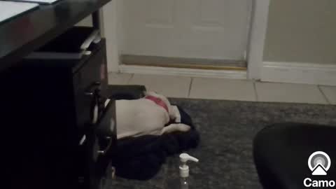 Mg13999 online show from 01-06-25, 08:39