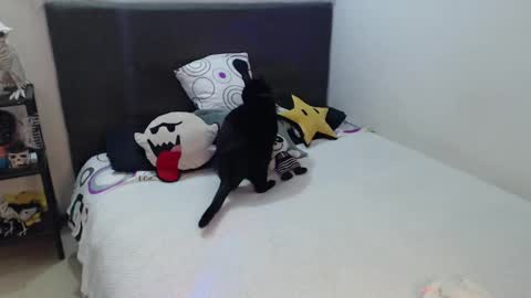 mia online show from 10-04-25, 12:52