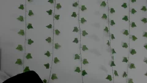 MIA online show from 02-11-26, 09:42