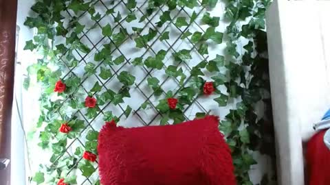 Snapshot of mia_squirt_big chatting on 12-06-24, 12:49 Mia squirt big INDEPENDENT MODEL...ONLYFANS online show from 12-06-24, 12:49