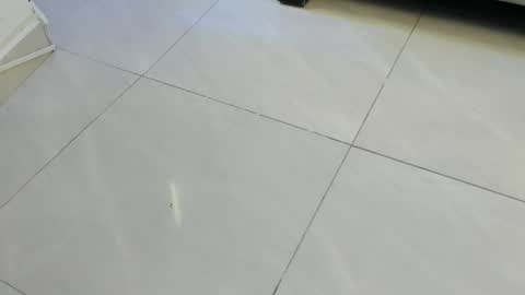 miaakittyy online show from 05-14-26, 11:39