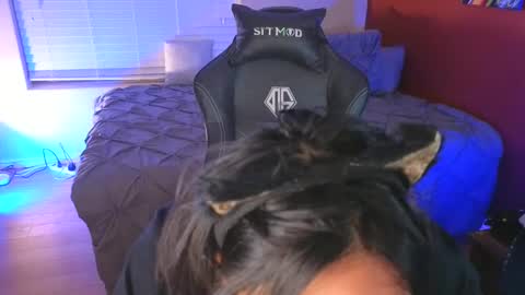 Mia online show from 12-21-24, 01:26