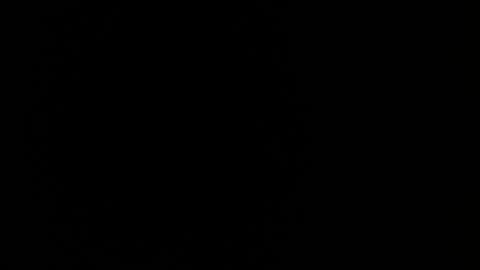 MIA  online show from 02-13-26, 12:39