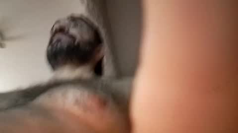 michael666c online show from 02-27-25, 09:00