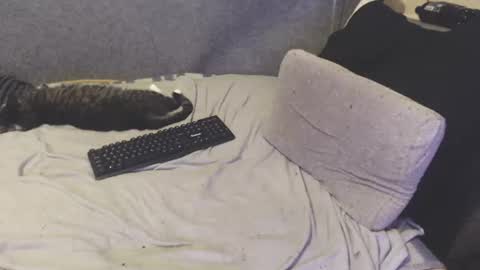 Michael online show from 06-24-26, 08:46