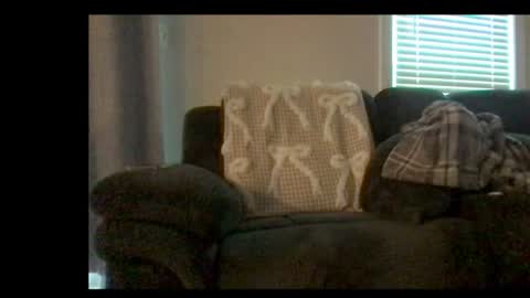 michaelt483 online show from 08-06-26, 11:06