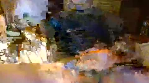 michiganstud28 online show from 04-22-26, 02:14