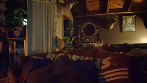 Hey Mickey online show from 12-18-24, 10:57