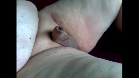 micropimmel online show from 10-11-25, 01:31